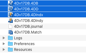 図 1 : 4Dデータベースのファイル